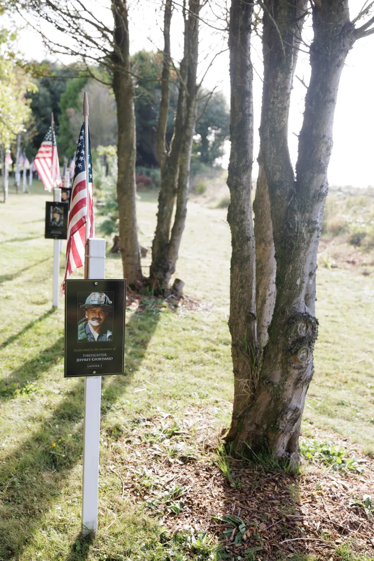 Photo of Jeffrey Giordano's tree in Ringfinnan Garden of Remembrance