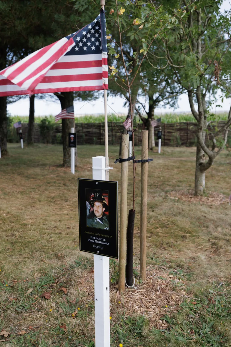 Photo of John Giordano's tree in Ringfinnan Garden of Remembrance