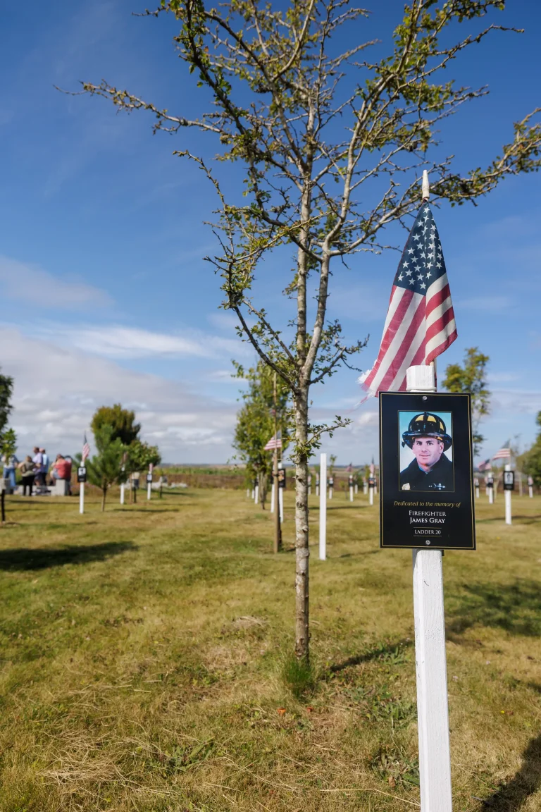 Photo of James Gray's tree in Ringfinnan Garden of Remembrance