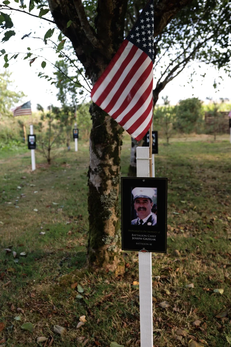 Photo of Joseph Grzelak's tree in Ringfinnan Garden of Remembrance
