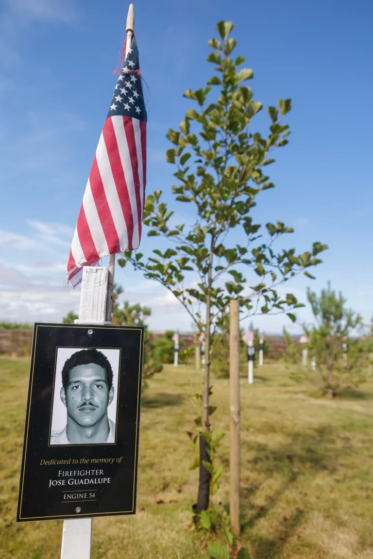 Photo of Jose Guadalupe's tree in Ringfinnan Garden of Remembrance