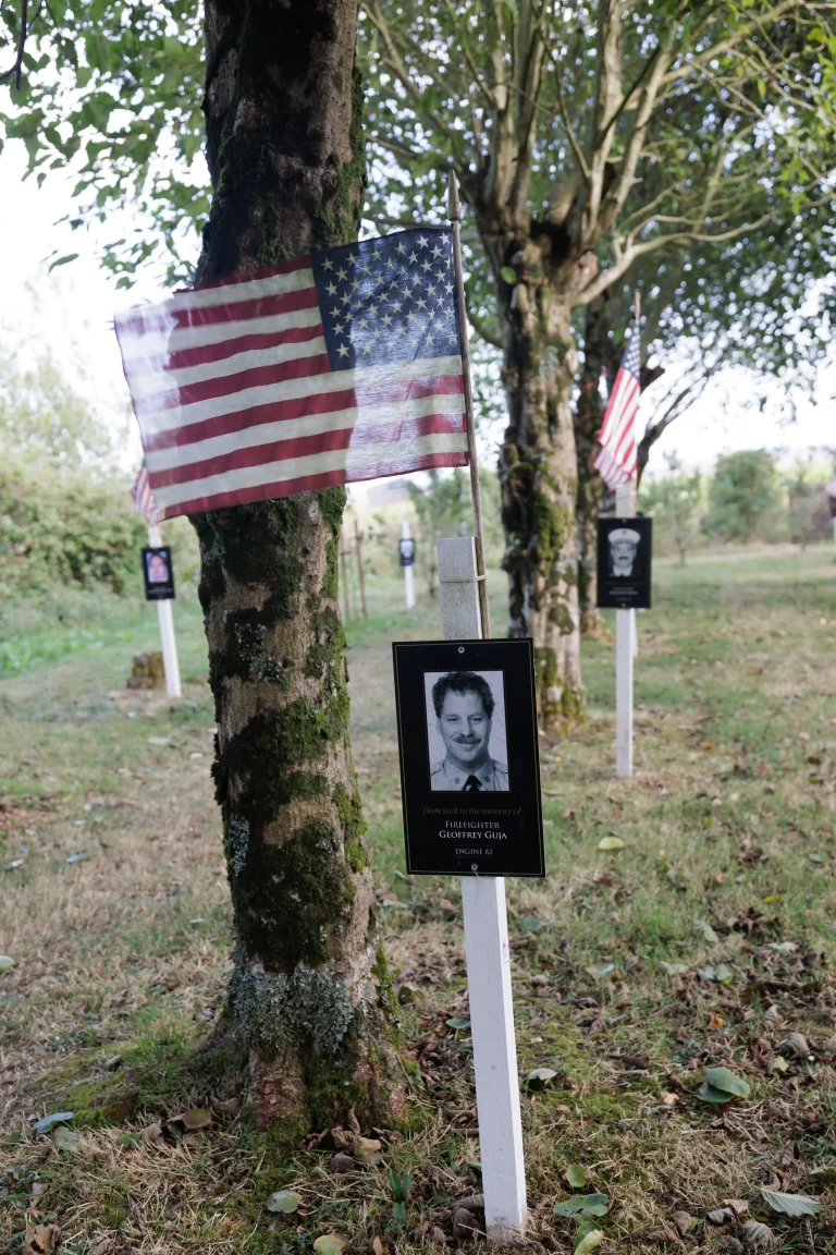 Photo of Geoffrey Guja's tree in Ringfinnan Garden of Remembrance