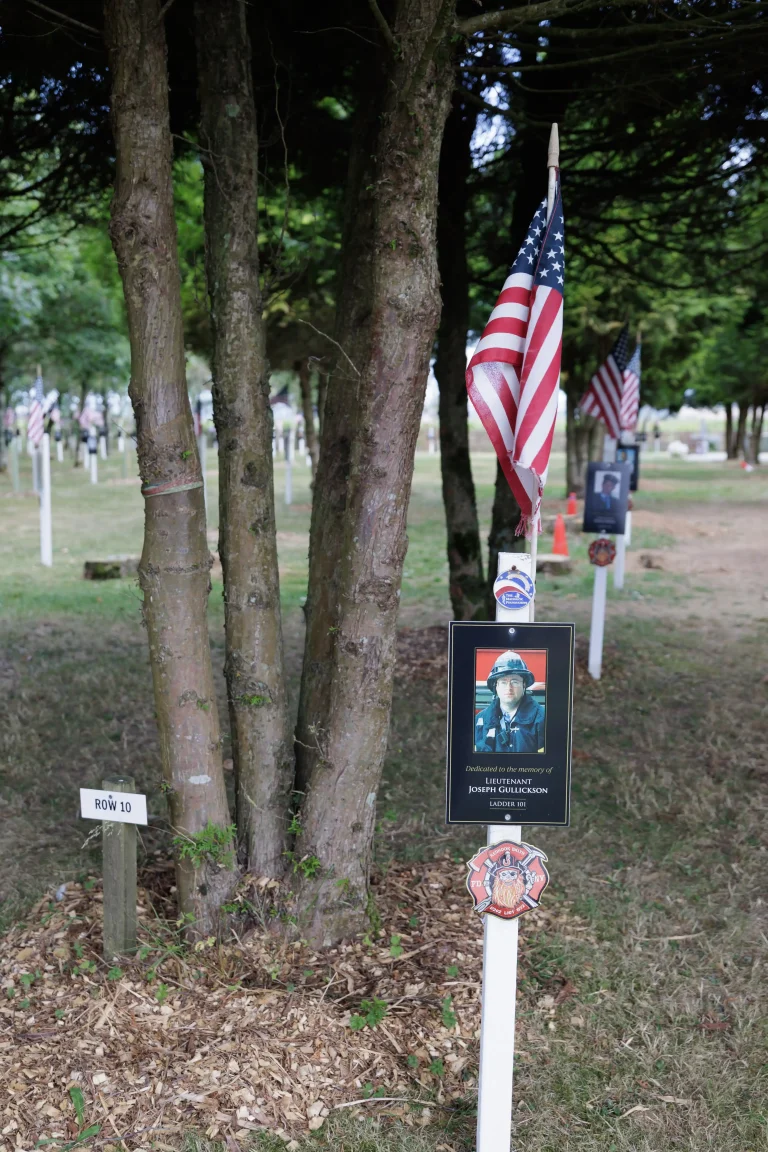 Photo of Joseph Gullickson's tree in Ringfinnan Garden of Remembrance