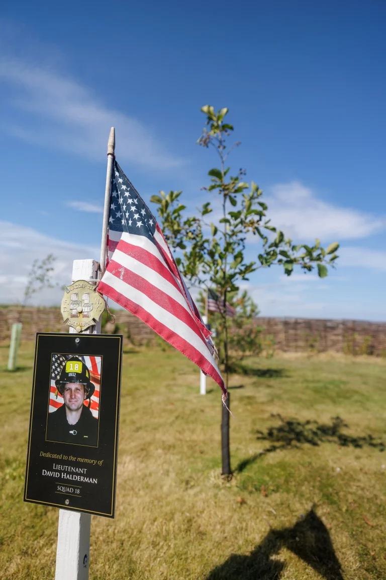 Photo of David Halderman's tree in Ringfinnan Garden of Remembrance