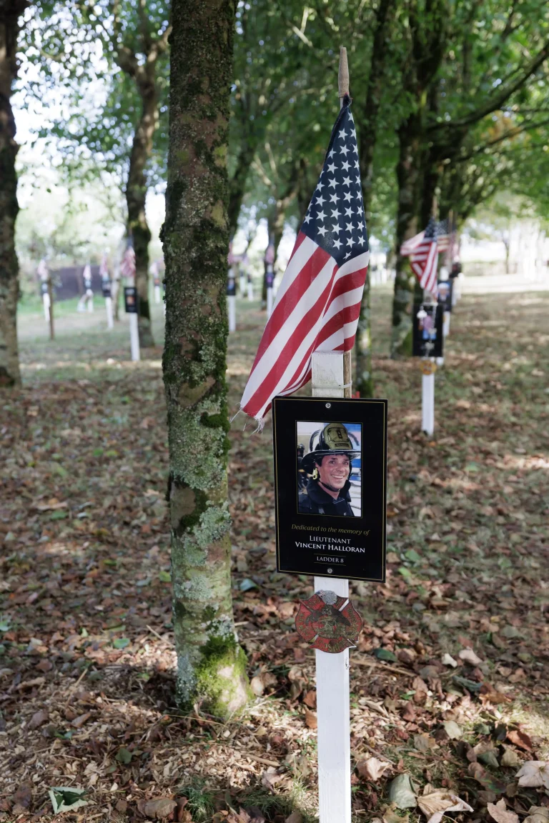 Photo of Vincent Halloran's tree in Ringfinnan Garden of Remembrance
