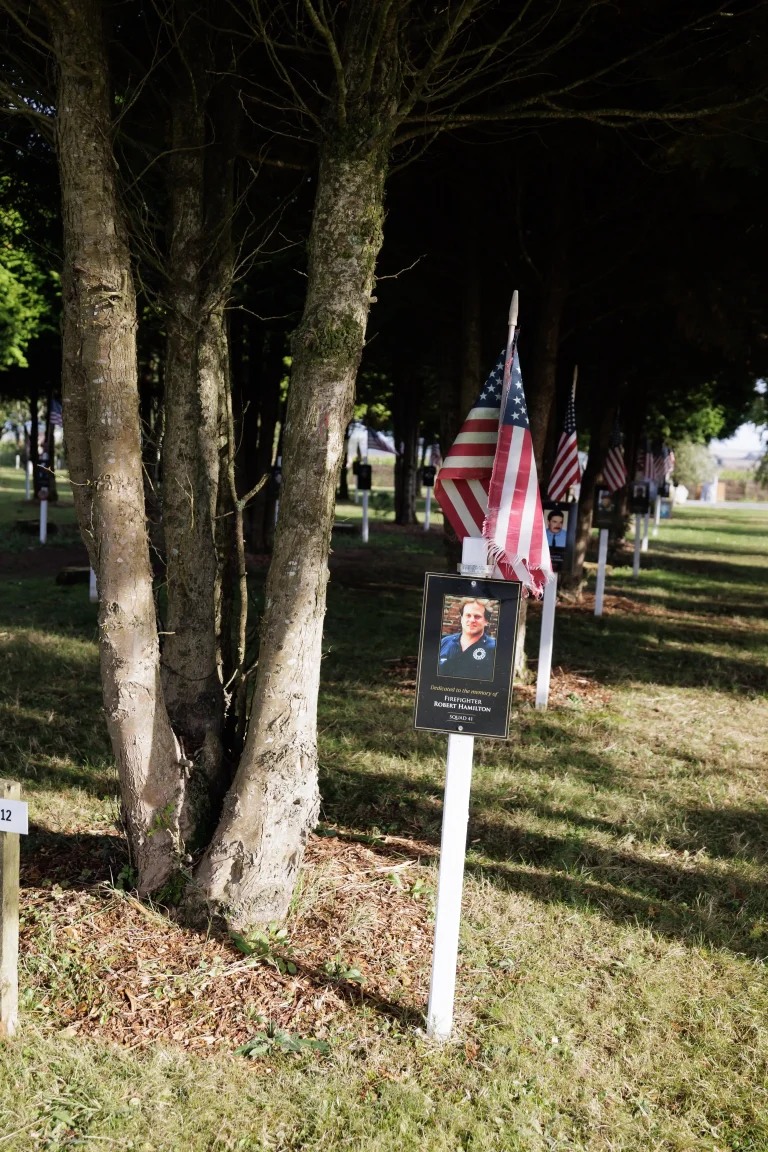 Photo of Robert Hamilton's tree in Ringfinnan Garden of Remembrance