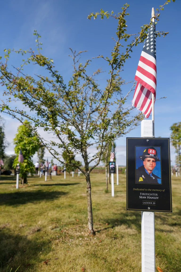 Photo of Sean Hanley's tree in Ringfinnan Garden of Remembrance