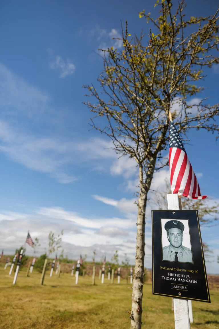 Photo of Thomas Hannafin's tree in Ringfinnan Garden of Remembrance