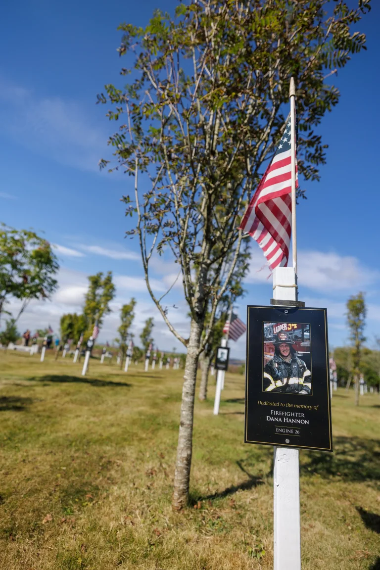 Photo of Dana Hannon's tree in Ringfinnan Garden of Remembrance