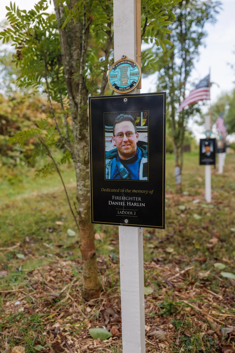 Photo of Daniel Harlin's tree in Ringfinnan Garden of Remembrance
