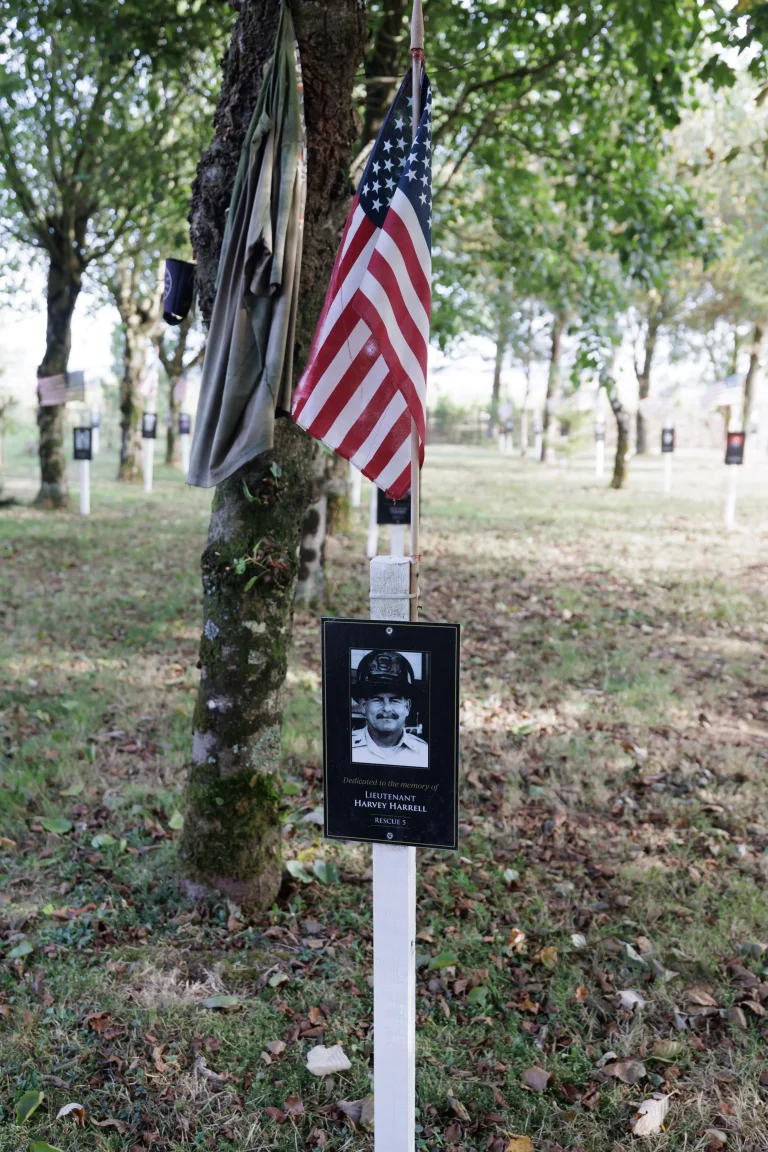 Photo of Harvey Harrell's tree in Ringfinnan Garden of Remembrance