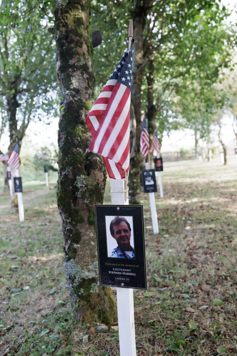Photo of Stephen Harrell's tree in Ringfinnan Garden of Remembrance