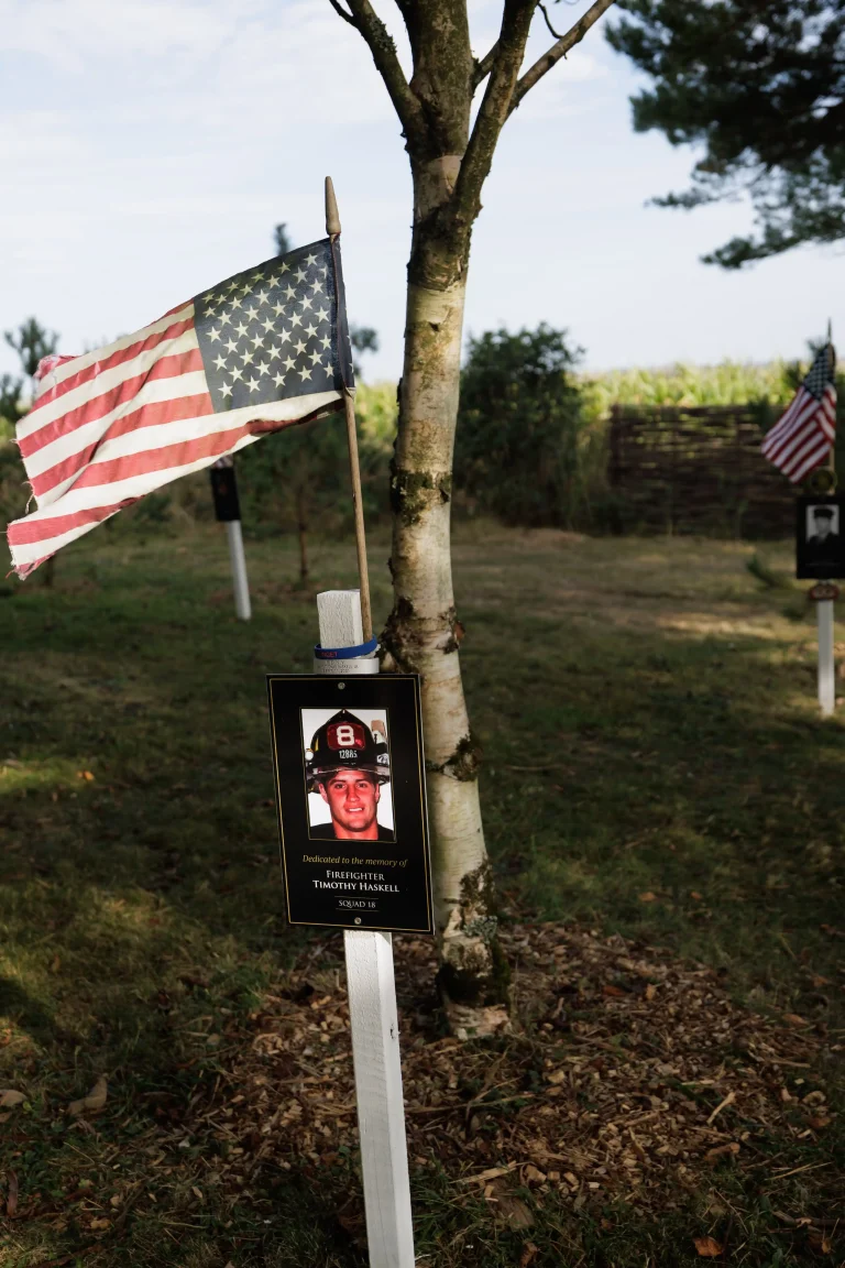 Photo of Timothy Haskell's tree in Ringfinnan Garden of Remembrance