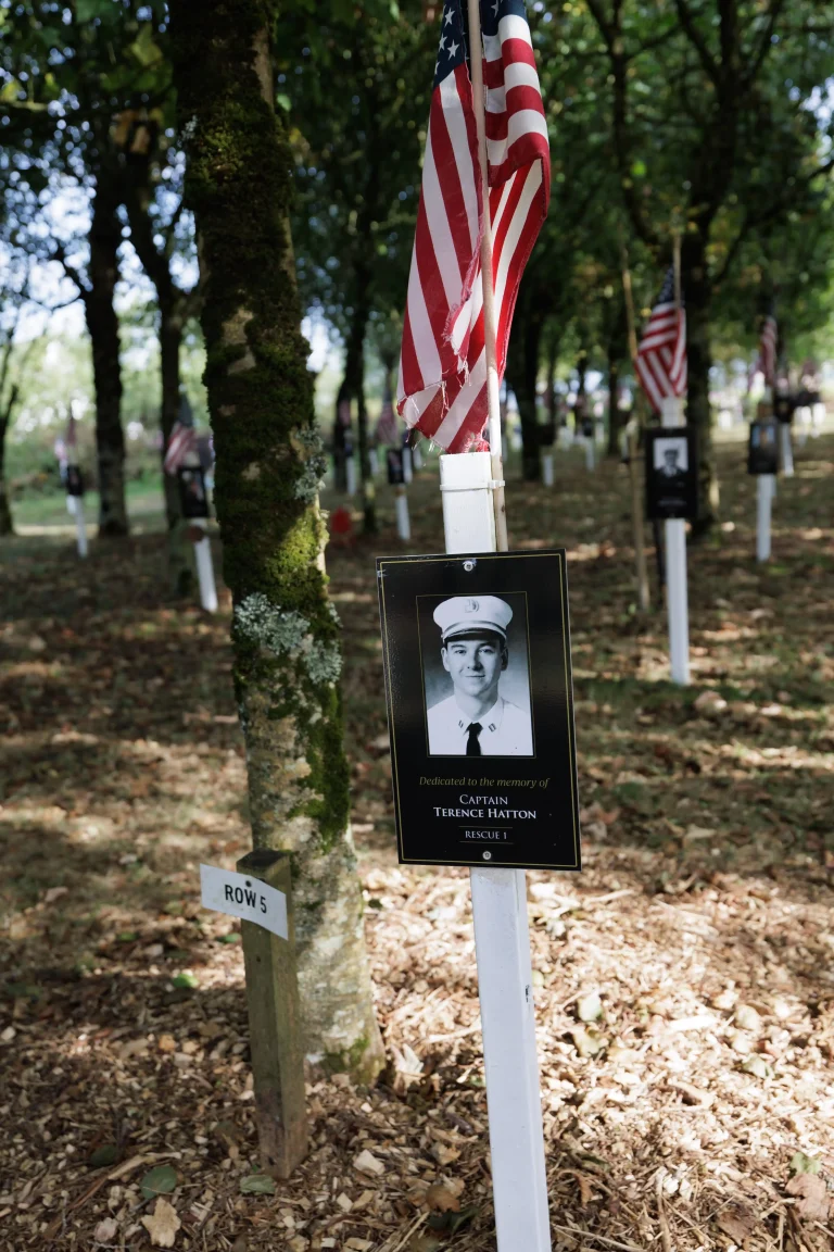 Photo of Terence Hatton's tree in Ringfinnan Garden of Remembrance