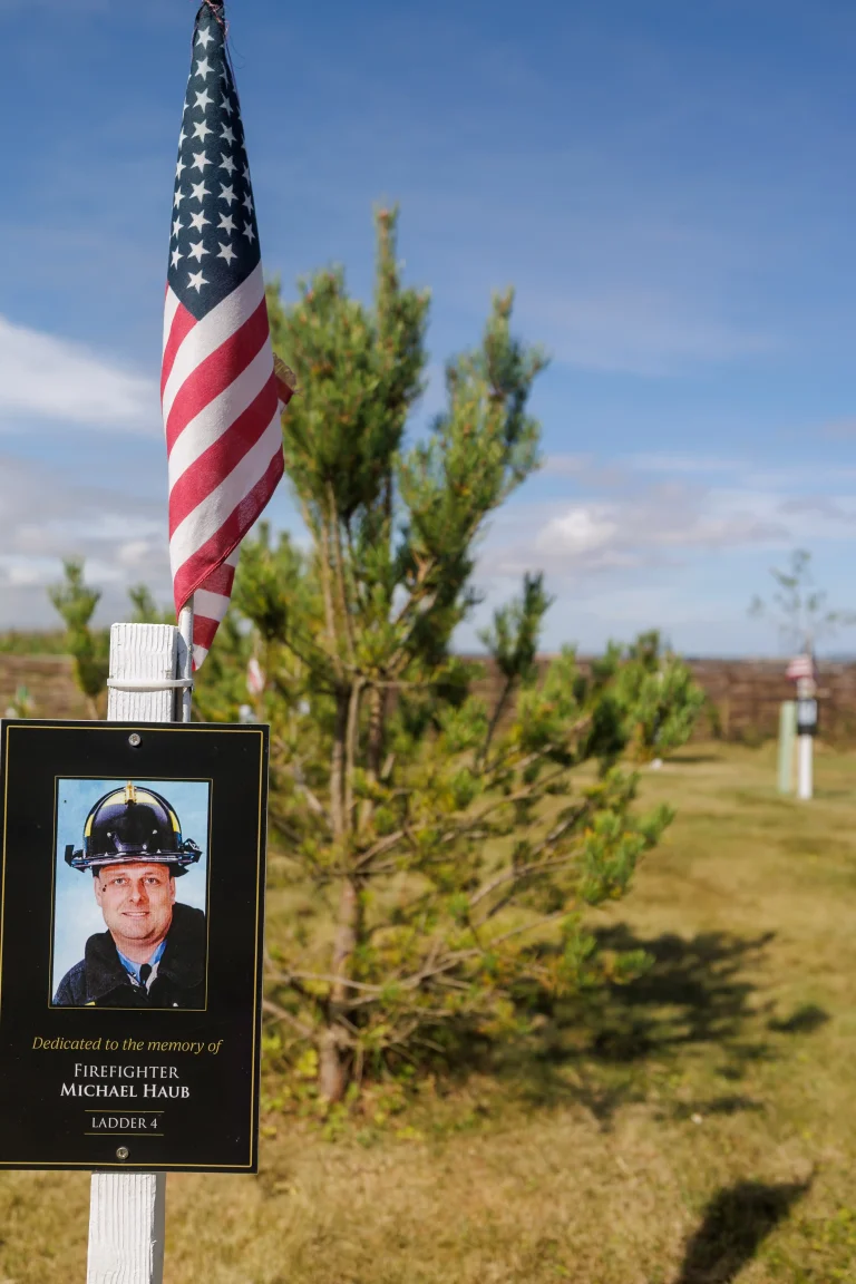 Photo of Michael Haub's tree in Ringfinnan Garden of Remembrance