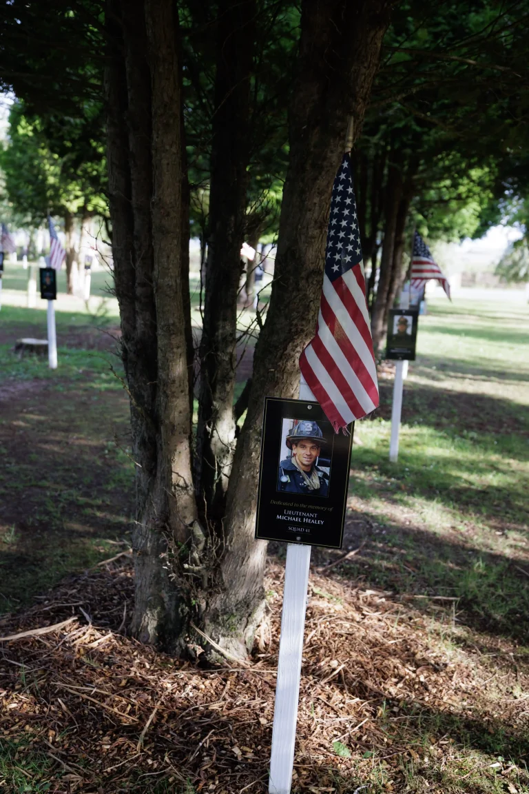 Photo of Michael Healey's tree in Ringfinnan Garden of Remembrance