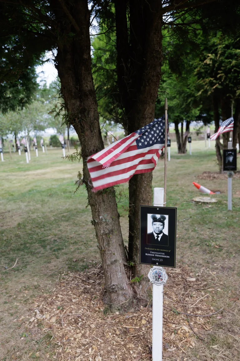 Photo of Ronnie Henderson's tree in Ringfinnan Garden of Remembrance