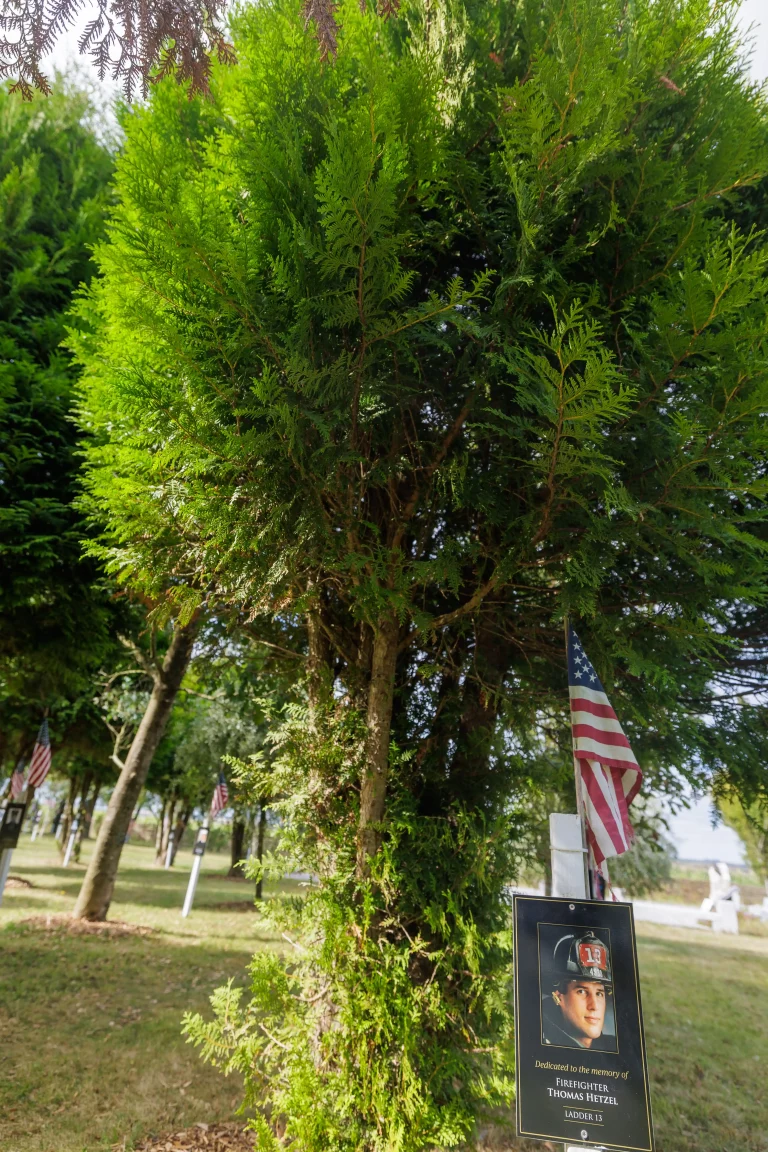 Photo of Thomas Hetzel's tree in Ringfinnan Garden of Remembrance