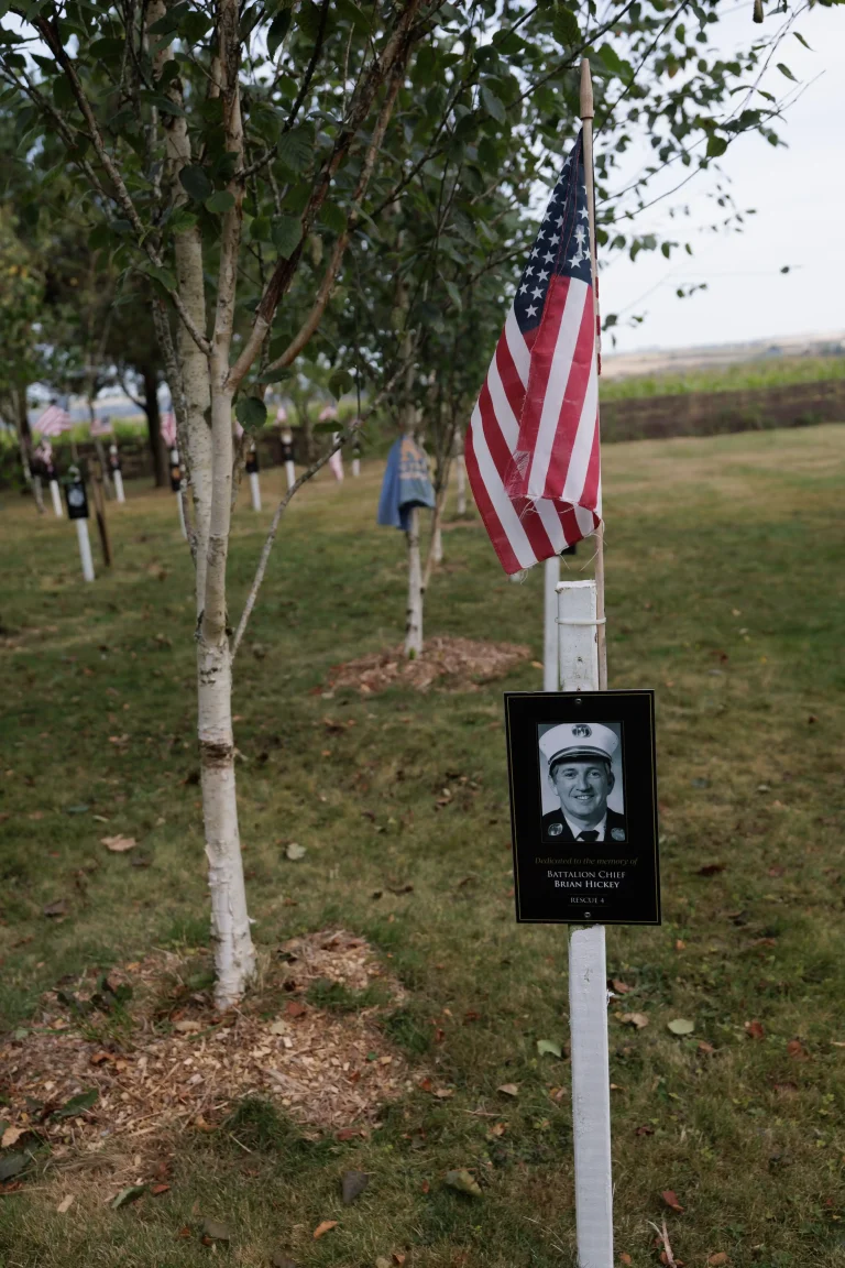 Photo of Brian Hickey's tree in Ringfinnan Garden of Remembrance