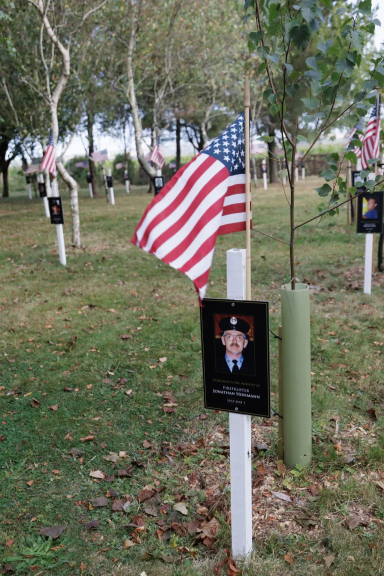 Photo of Jonathan Hohmann's tree in Ringfinnan Garden of Remembrance