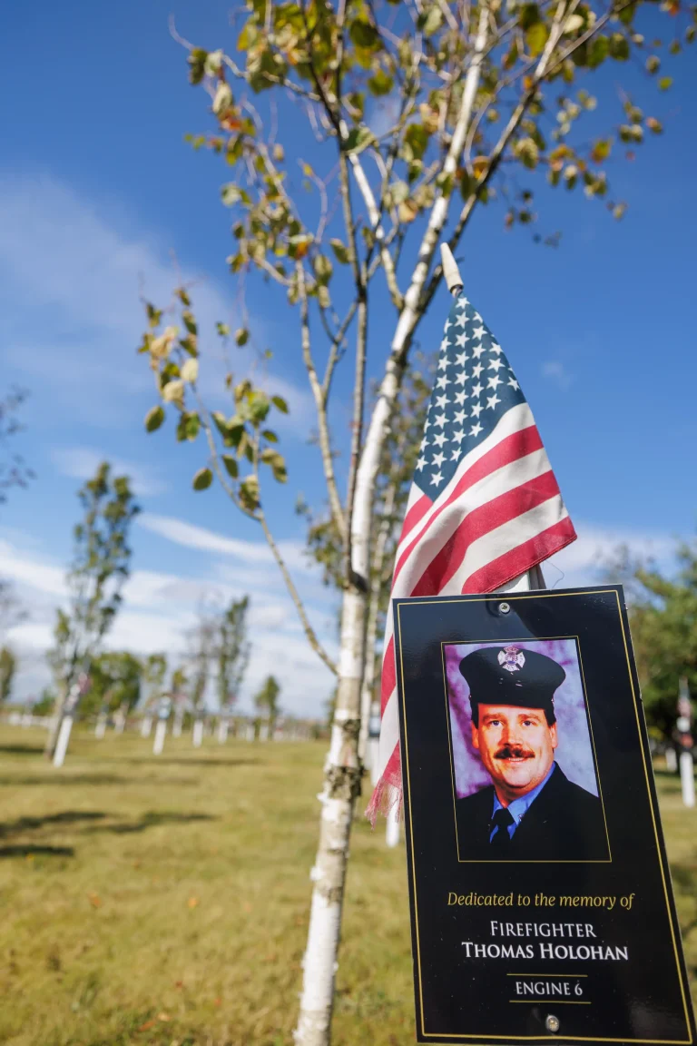 Photo of Thomas Holohan's tree in Ringfinnan Garden of Remembrance