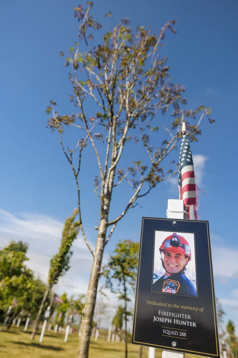 Photo of Joseph Hunter's tree in Ringfinnan Garden of Remembrance