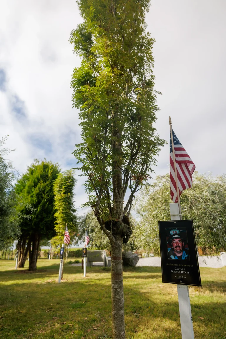 Photo of Walter Hynes's tree in Ringfinnan Garden of Remembrance
