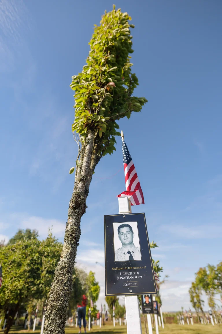 Photo of Jonathan Ielpi's tree in Ringfinnan Garden of Remembrance