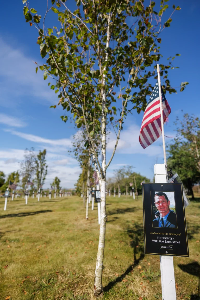 Photo of William Johnston's tree in Ringfinnan Garden of Remembrance