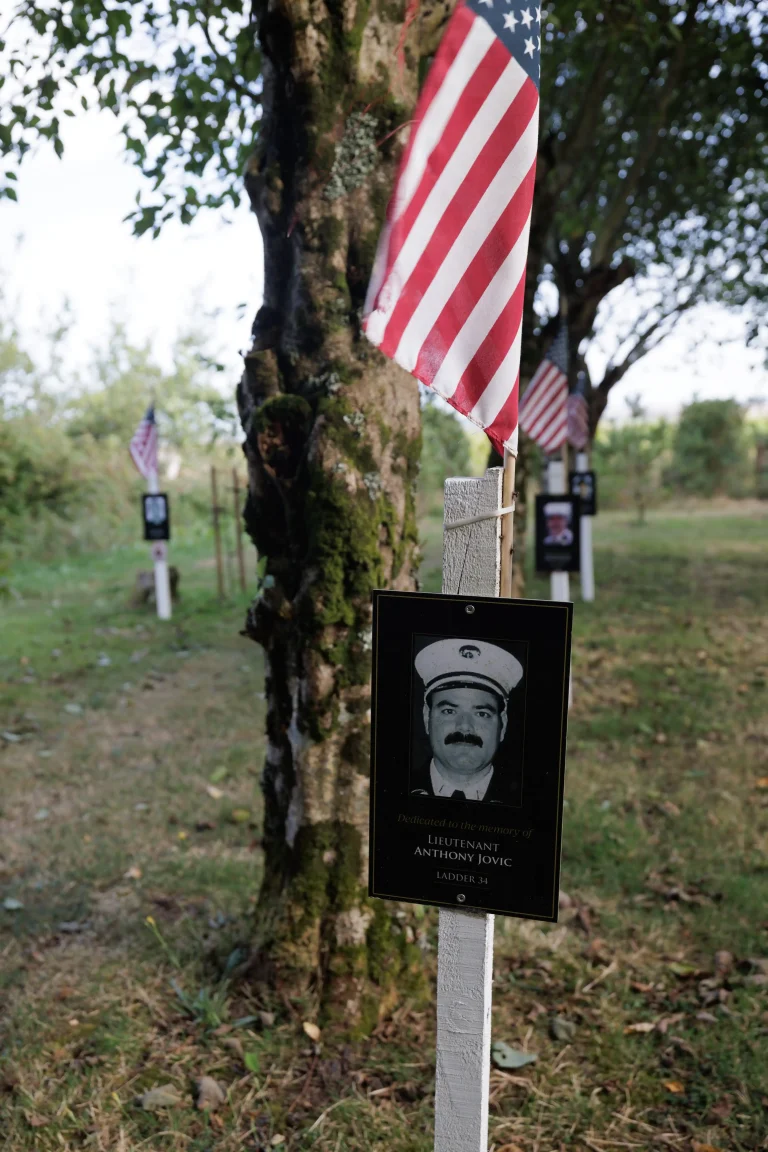 Photo of Anthony Jovic's tree in Ringfinnan Garden of Remembrance