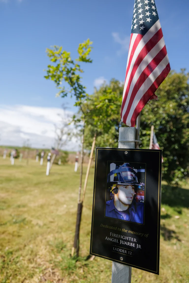 Photo of Angel Juarbe Jr's tree in Ringfinnan Garden of Remembrance