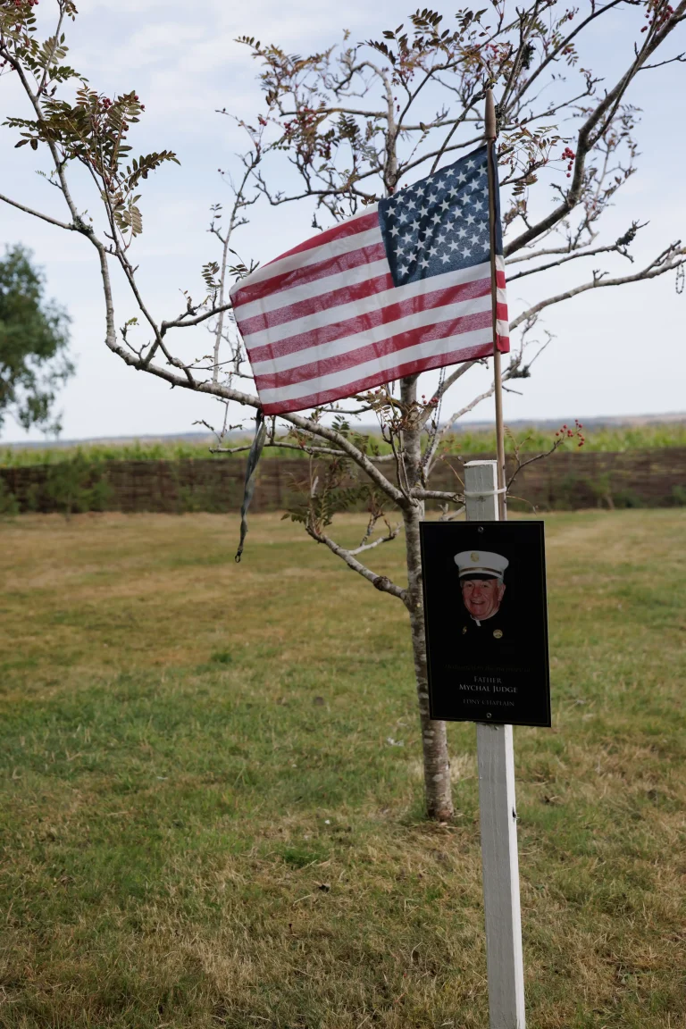 Photo of Mychal Judge's tree in Ringfinnan Garden of Remembrance