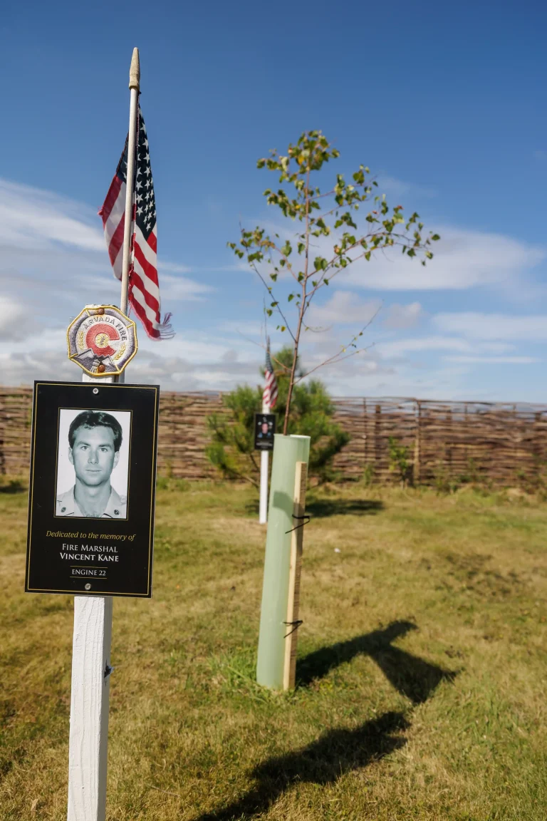 Photo of Vincent Kane's tree in Ringfinnan Garden of Remembrance