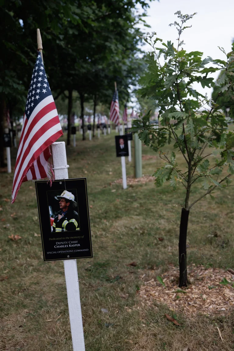 Photo of Charles Kasper's tree in Ringfinnan Garden of Remembrance