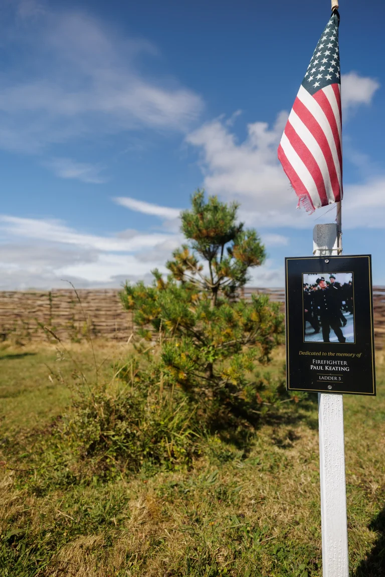 Photo of Paul Keating's tree in Ringfinnan Garden of Remembrance