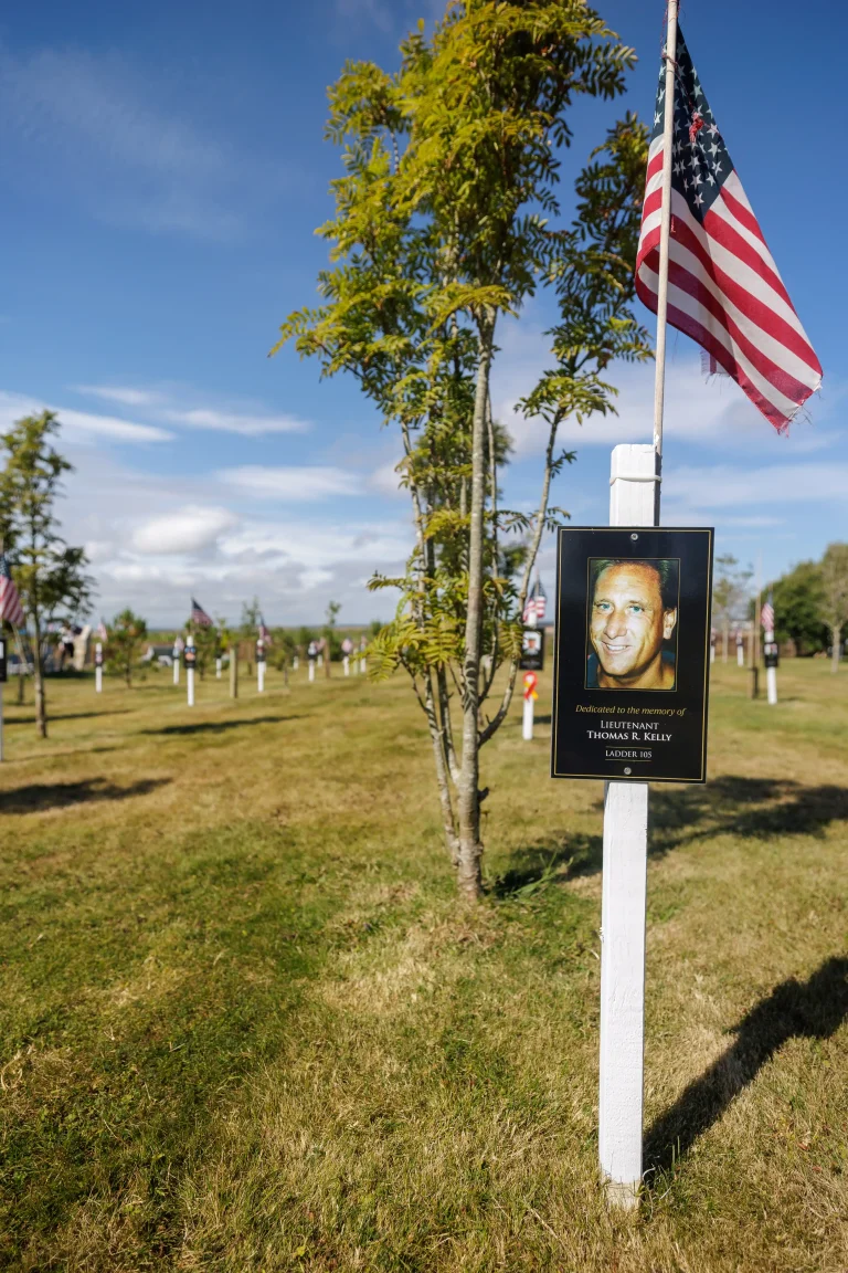 Photo of Thomas R. Kelly's tree in Ringfinnan Garden of Remembrance