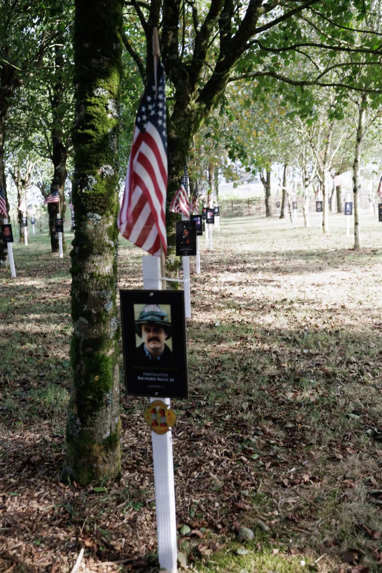 Photo of Richard Kelly Jr's tree in Ringfinnan Garden of Remembrance