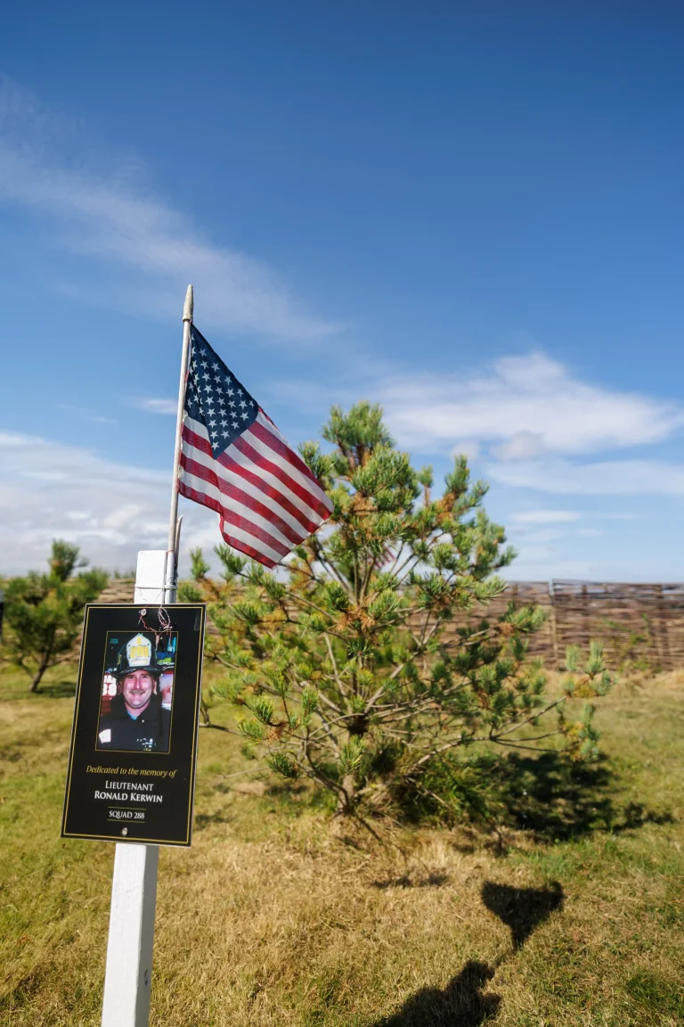 Photo of Ronald Kerwin's tree in Ringfinnan Garden of Remembrance
