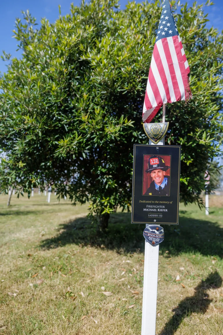 Photo of Michael Kiefer's tree in Ringfinnan Garden of Remembrance
