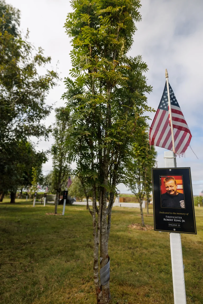 Photo of Robert King Jr's tree in Ringfinnan Garden of Remembrance