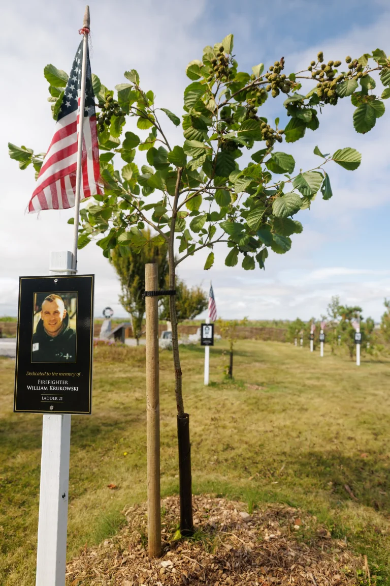 Photo of William Krukowski's tree in Ringfinnan Garden of Remembrance