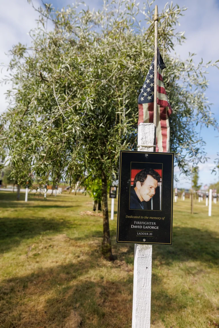 Photo of David Laforge's tree in Ringfinnan Garden of Remembrance