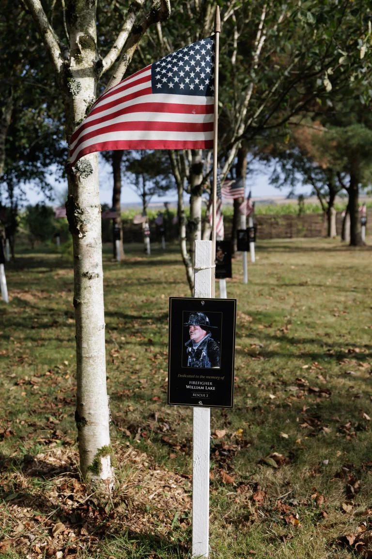 Photo of William Lake's tree in Ringfinnan Garden of Remembrance