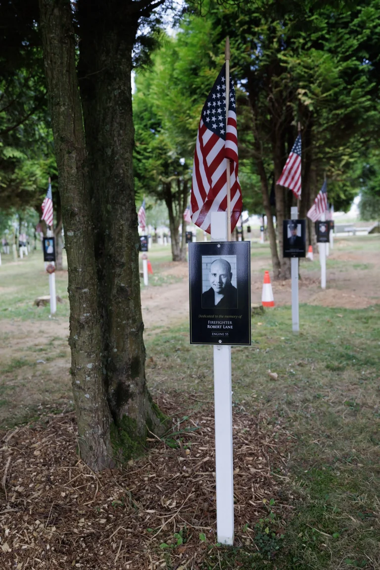 Photo of Robert Lane's tree in Ringfinnan Garden of Remembrance