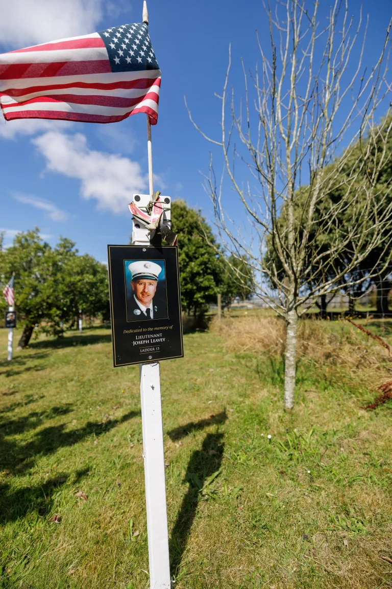 Photo of Joseph Leavey's tree in Ringfinnan Garden of Remembrance