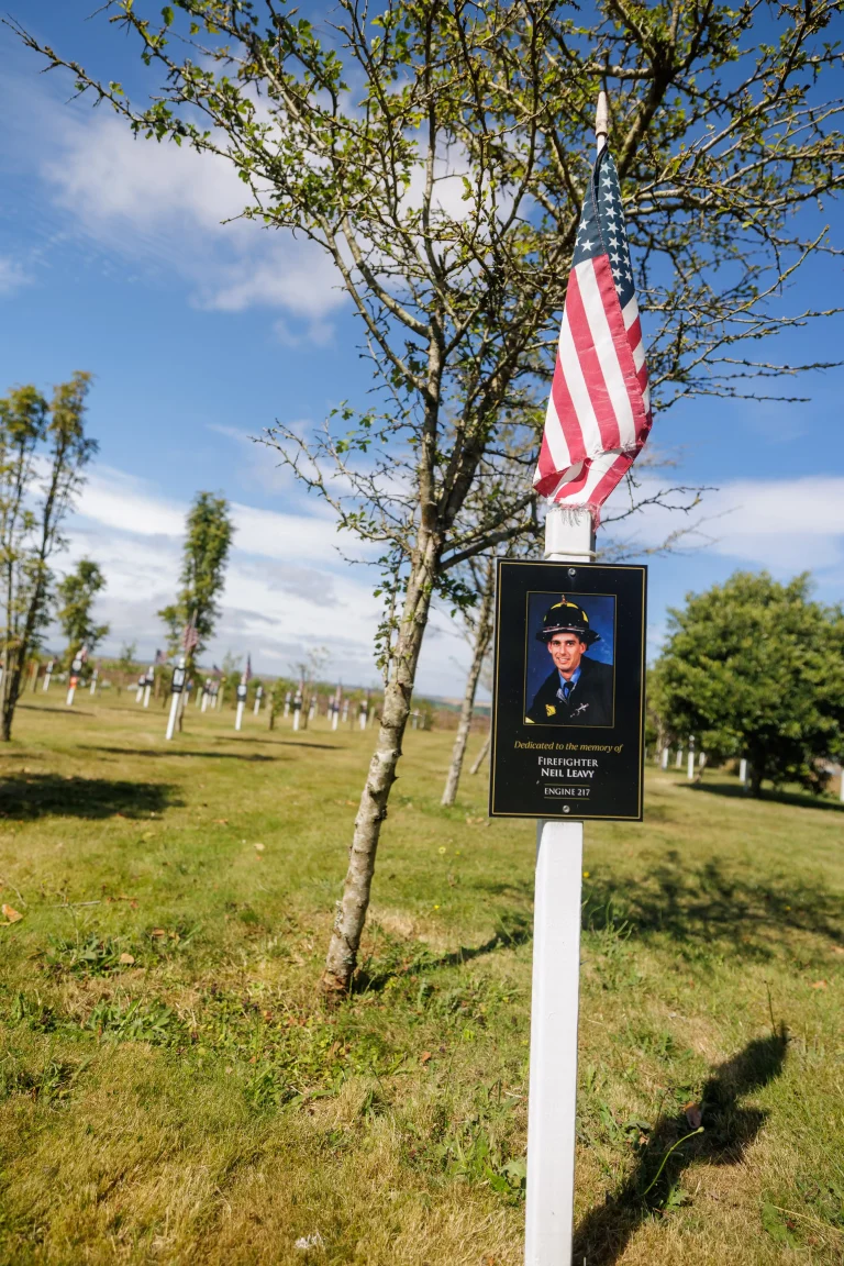 Photo of Neil Leavy's tree in Ringfinnan Garden of Remembrance