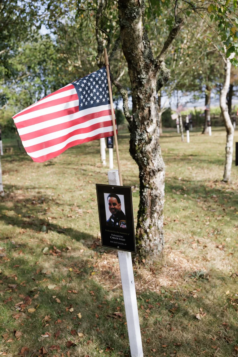 Photo of Carlos Lillo Ems's tree in Ringfinnan Garden of Remembrance
