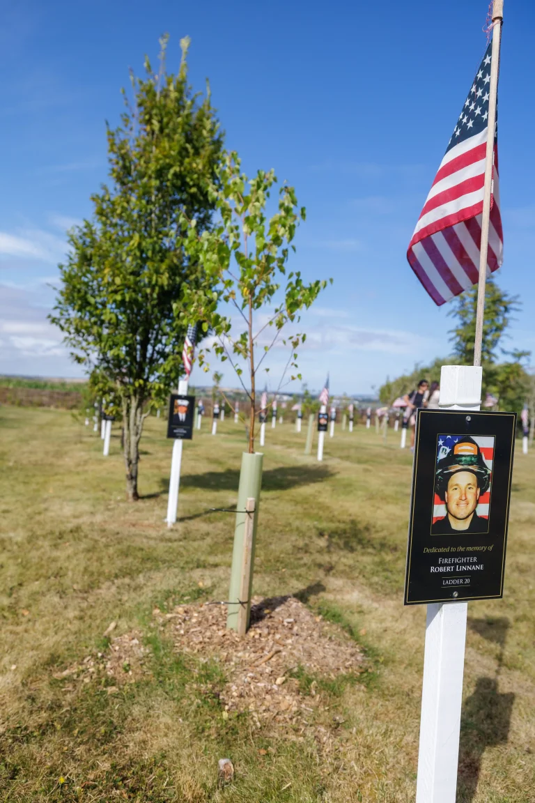 Photo of Robert Linnane's tree in Ringfinnan Garden of Remembrance