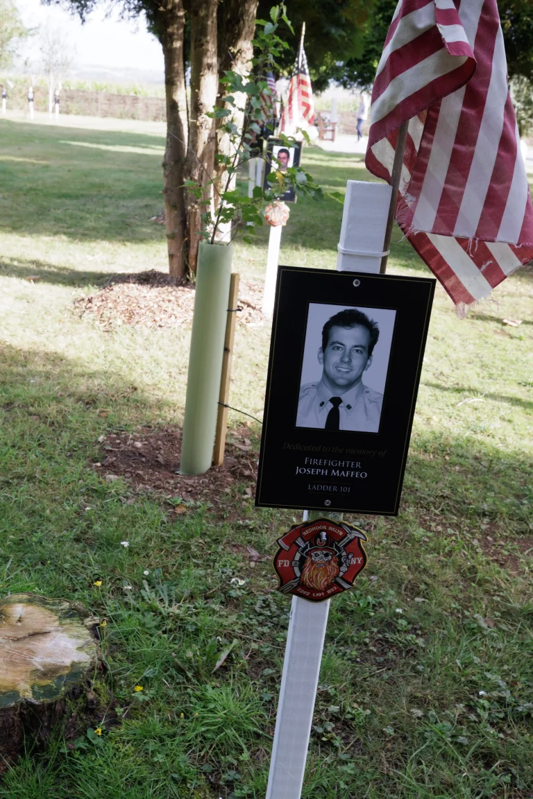 Photo of Joseph Maffeo's tree in Ringfinnan Garden of Remembrance