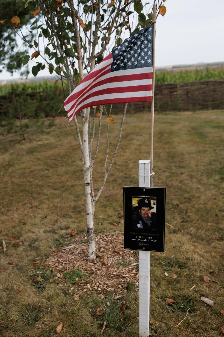 Photo of William Mahoney's tree in Ringfinnan Garden of Remembrance